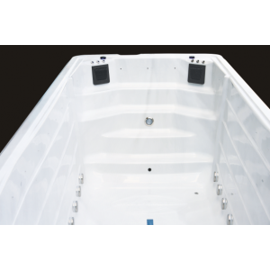 Waterwave Spas Swimspa Äthna 55